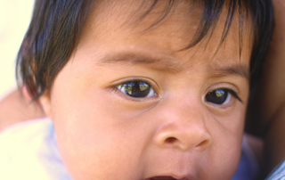 Header photo for blog