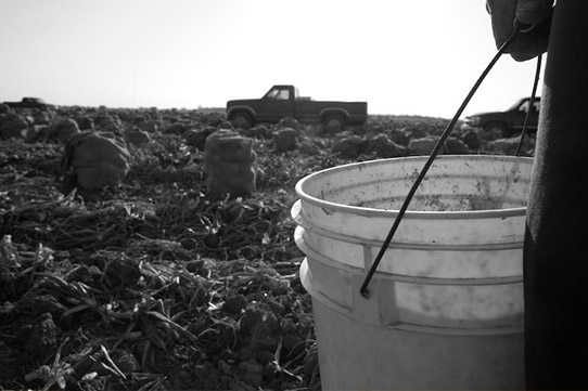 An empty bucket on a farm.