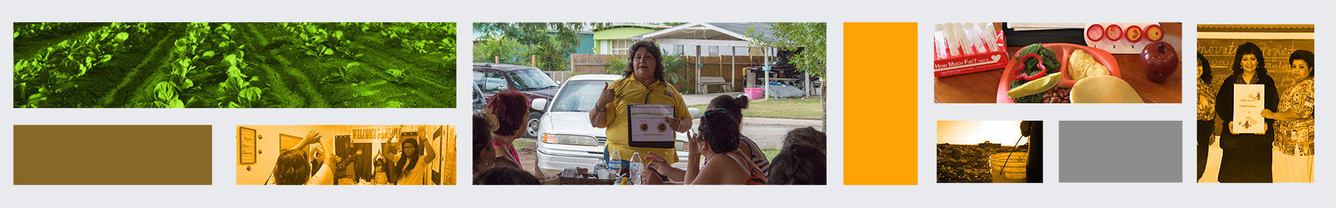 About Us Separator Pictures in a banner of various MHP Salud programs and staff.