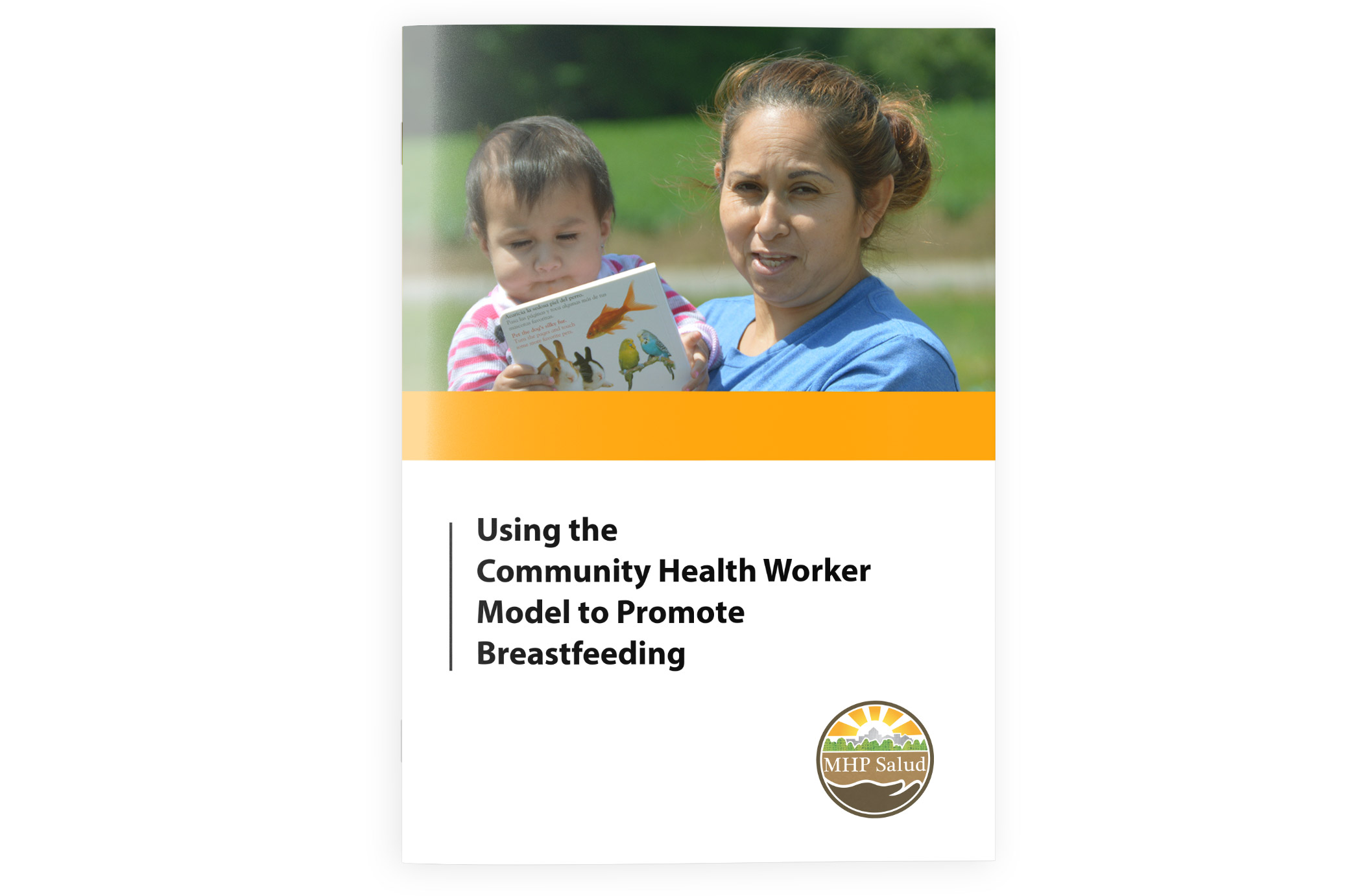 Using the Community Health Worker Model to Promote Breastfeeding