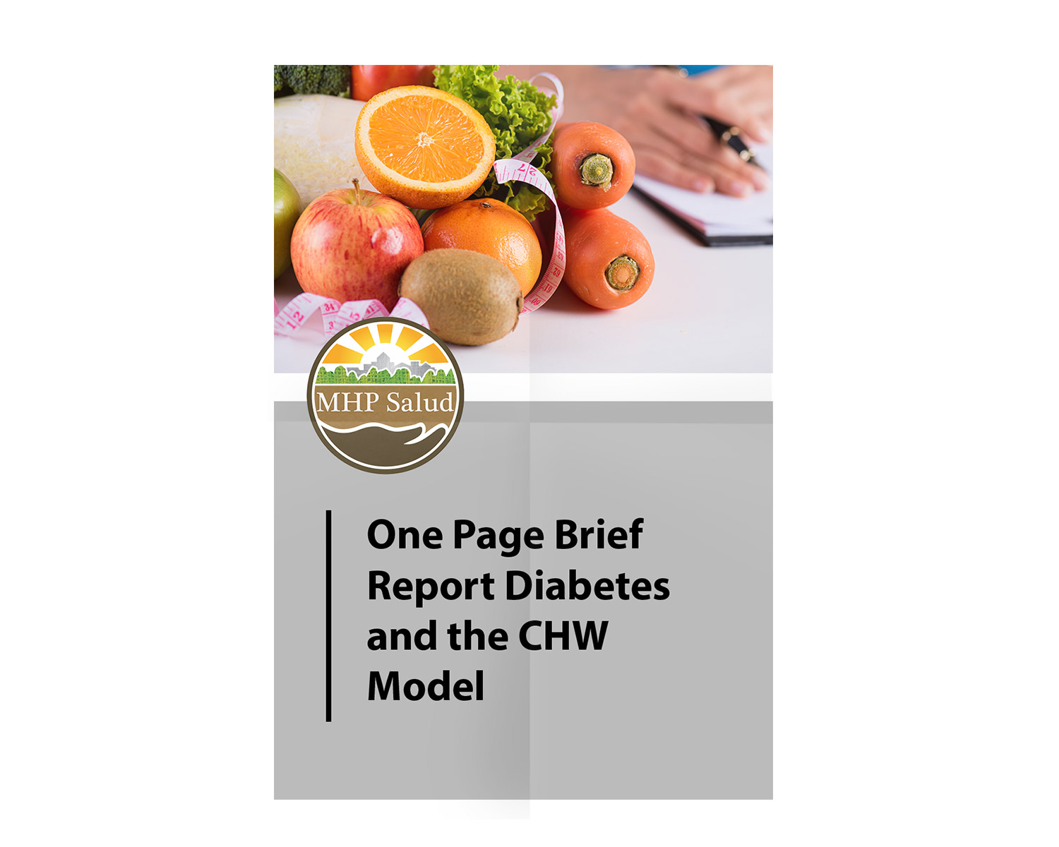 One Page Brief Report Diabetes and the CHW Model