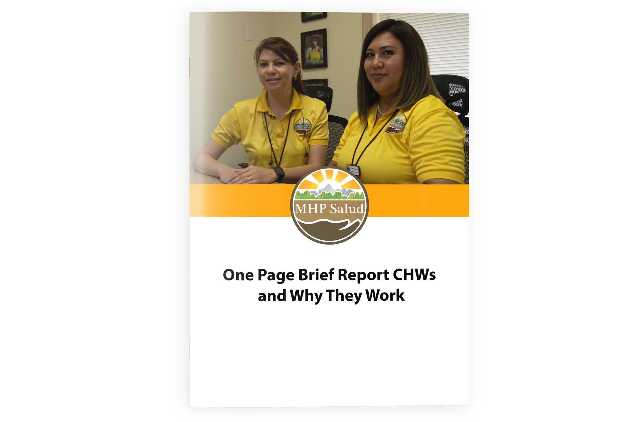 CHWs and Why The Work Report