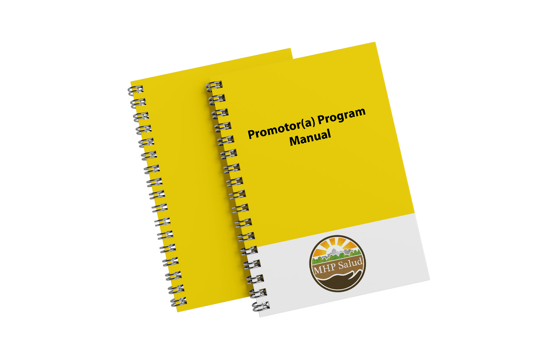 Promotor(a) Program Manual