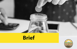 This resource portfolio item is formatted as a brief report