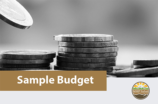 This resource is a sample budget.