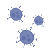 Virus Coronavirus