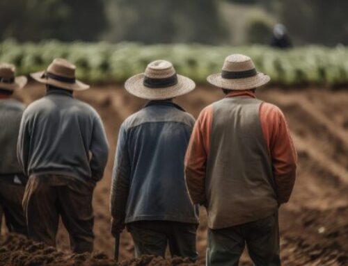 Farmworker Health Network: Key Resources to Support Agricultural Workers