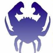 Cancer and Chronic Disease Consortium logo